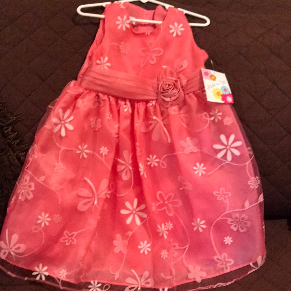 Jessica Ann coral dress